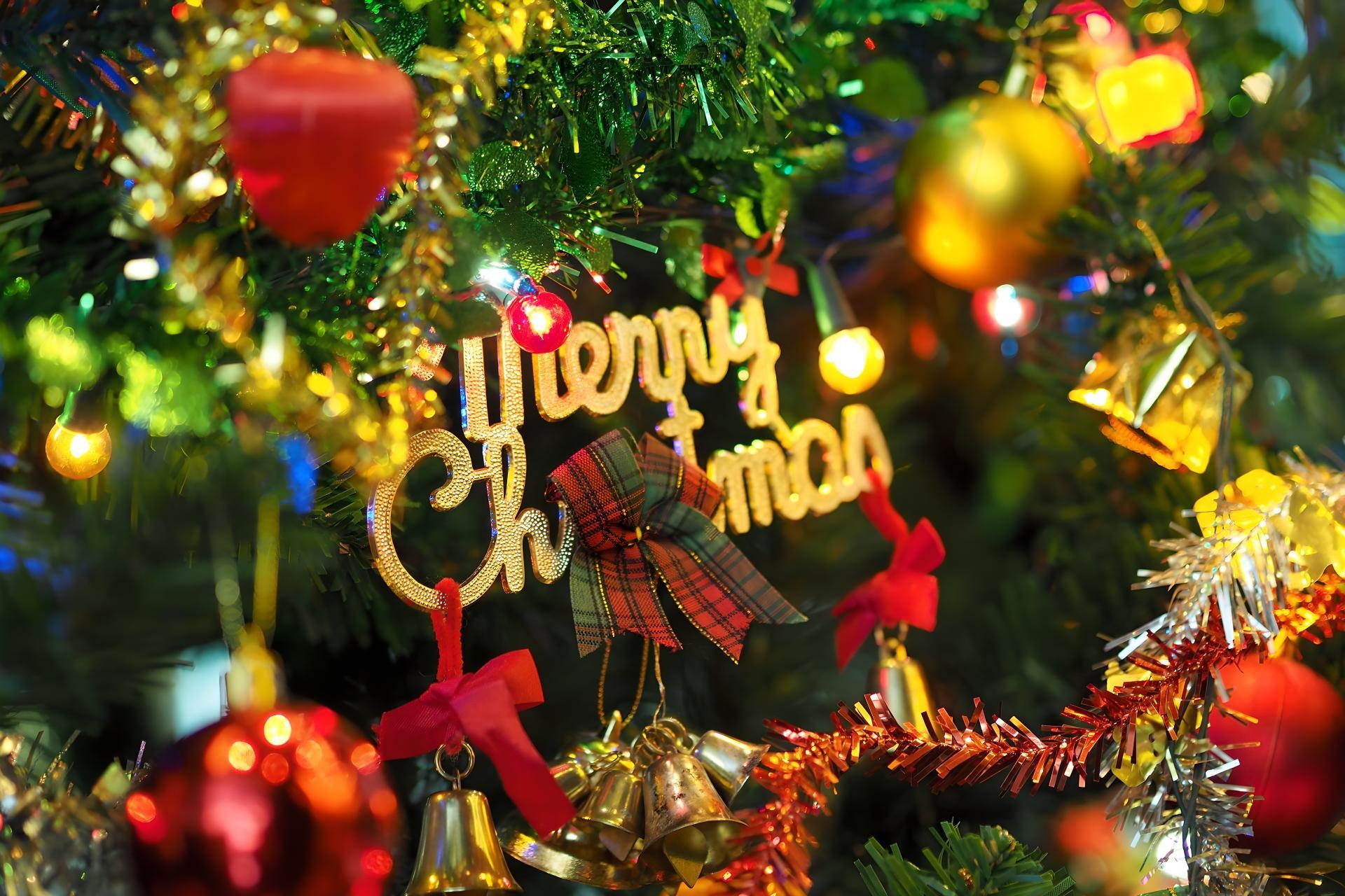 Merry Christmas.jpg